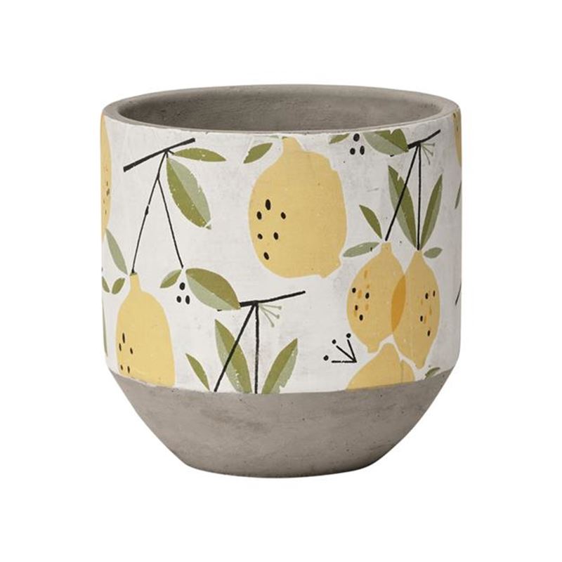 Lemon citron kruka cement